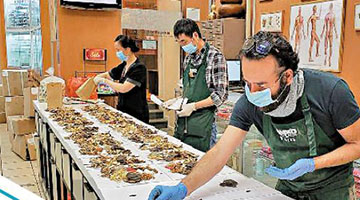 循证医学证疗效 中医药进军国际