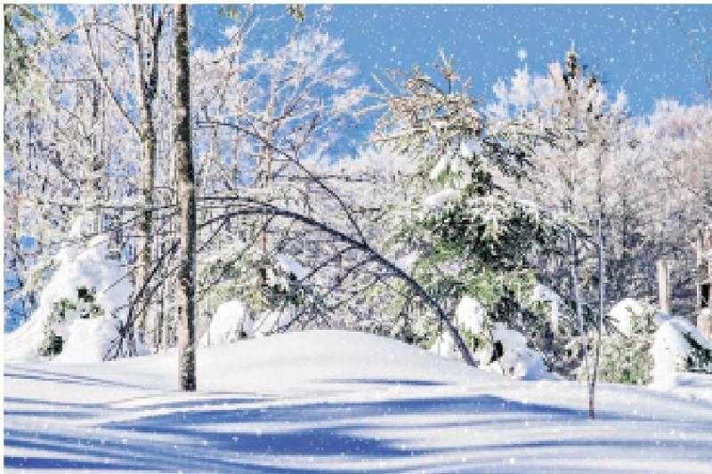 ﻿人生在線：一夜寒風又冬天