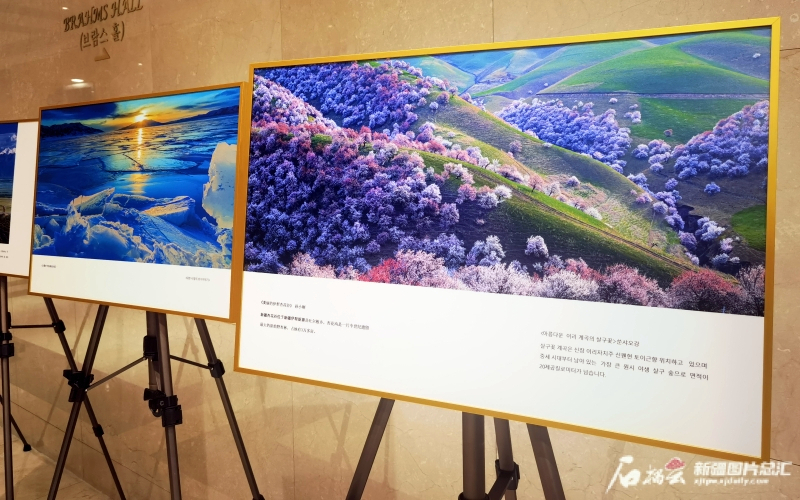 邀你跨越山和大海，赴一场新疆之约