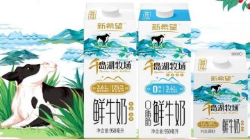 并购“后遗症”凸显，新乳业打折转让“一只酸奶牛”45%股权