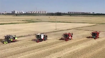 国家统计局：11月份国民经济持续回升向好