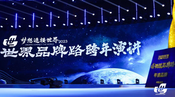 洋河与国家能源、中车等9大企业齐聚，跨年演讲共议世界品牌路