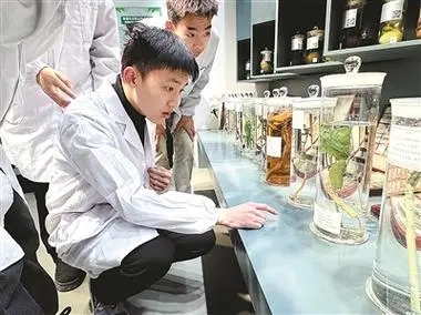 倾力托举，一站式服务让创业更安心