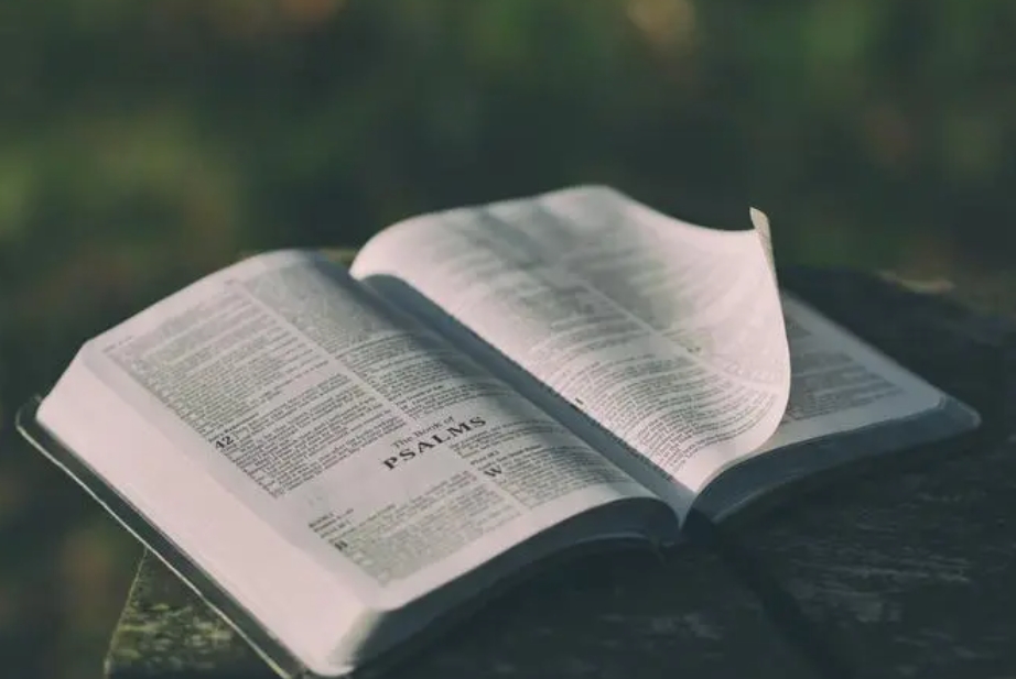 2024教育工作怎么干？各地教育部门负责人这样说