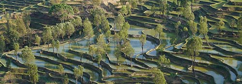 研習哈尼族文化