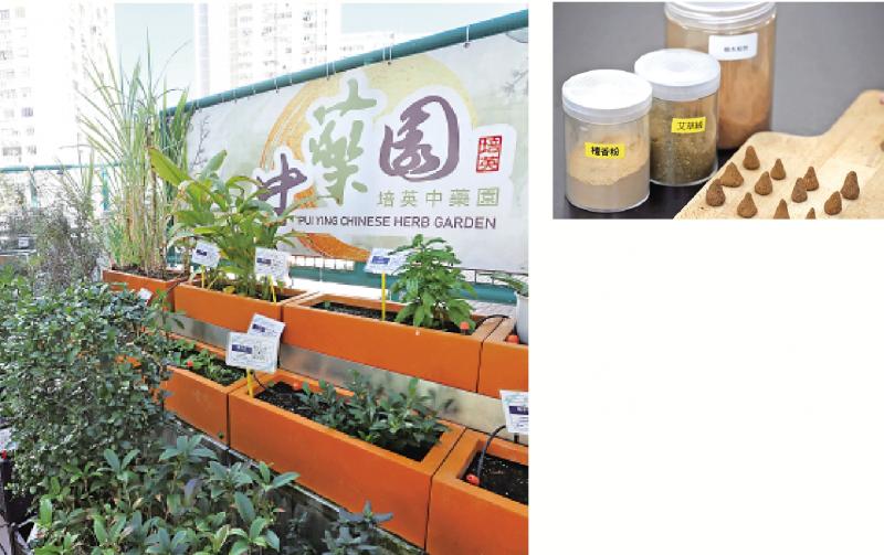 培英中学设中药园 自制防蚊香塔