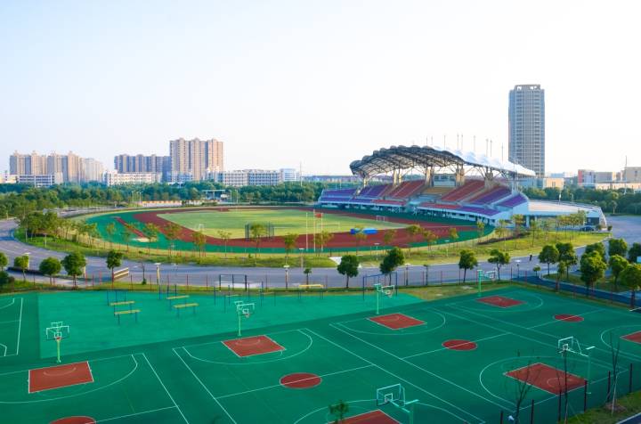 在推动长三角一体化发展中展现职教担当