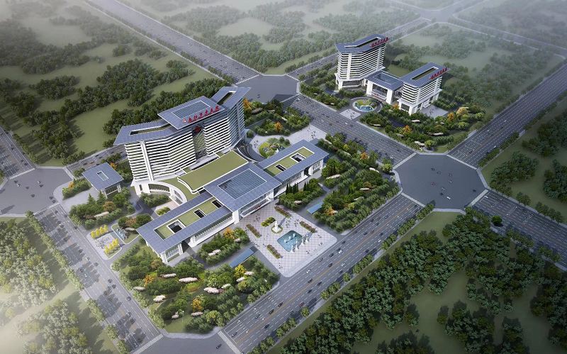 继往开来|南阳中医药产业活力四射