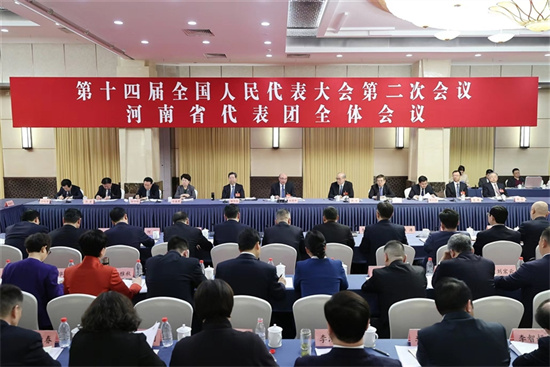 河南代表团举行全体会议审议政府工作报告