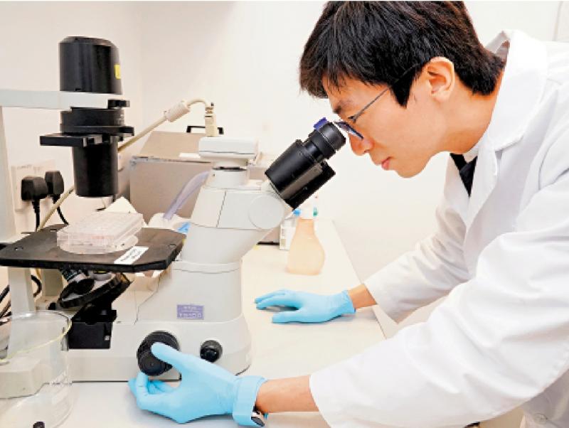 2024全国两会 发挥香港优势 打造数位产业集群