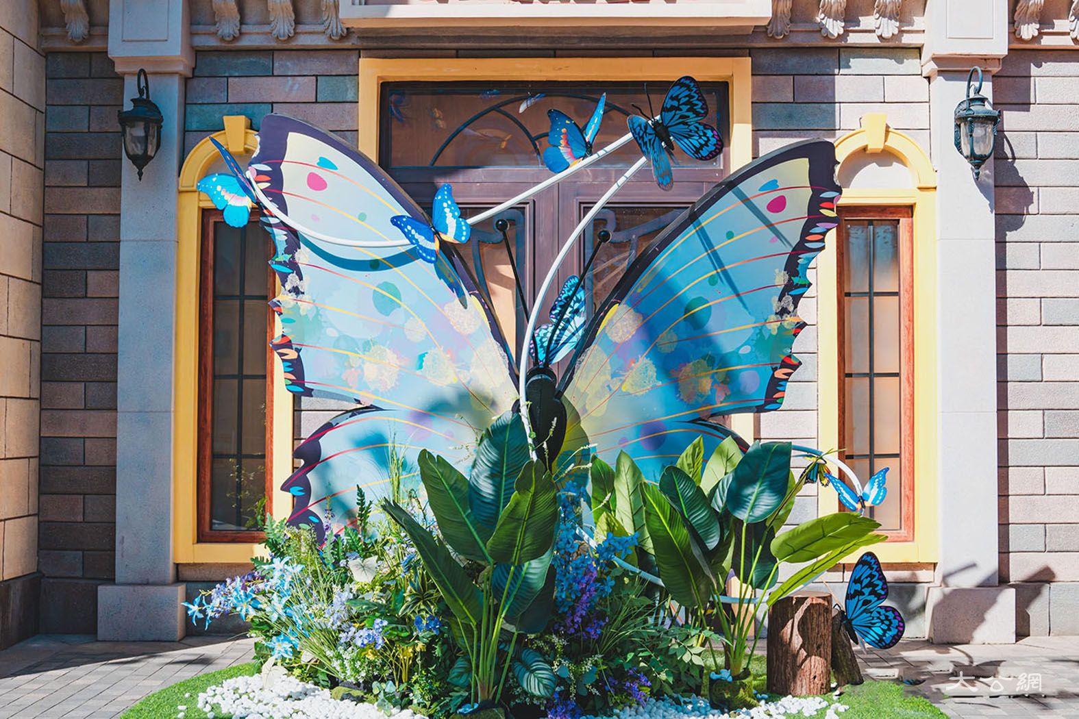 1709877807133676.jpg 20bc60317ba8453a9811c722a788d1e2_noop.jpg