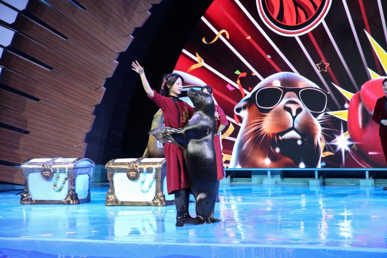 鄭州海昌：不被定義的女性力量，勇敢自信更出眾！