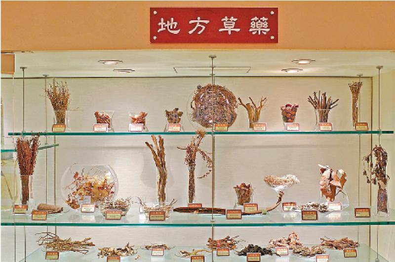 搭建国际贸易平台 助力中医药走出去