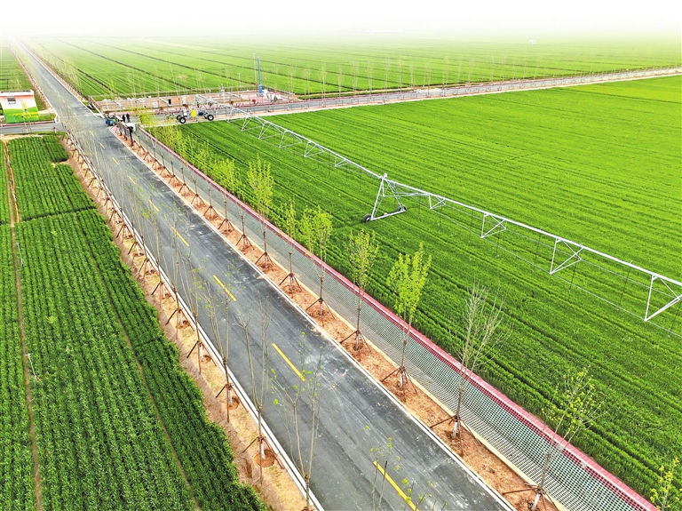 在希望的田野上丨河南春季农业生产这么干