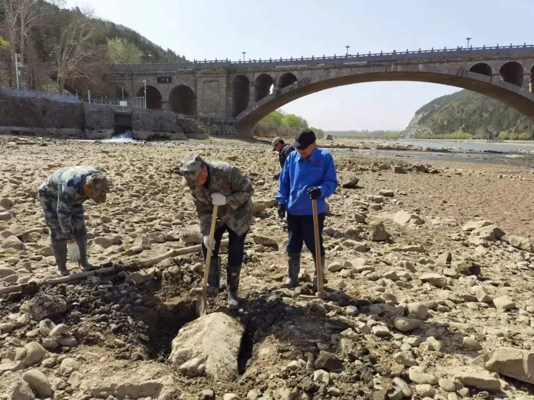 洛阳|龙门石窟伊河段发现唐代菩萨半身像