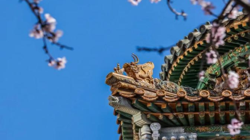 忻州版《上春山》：从歌词里寻找春意