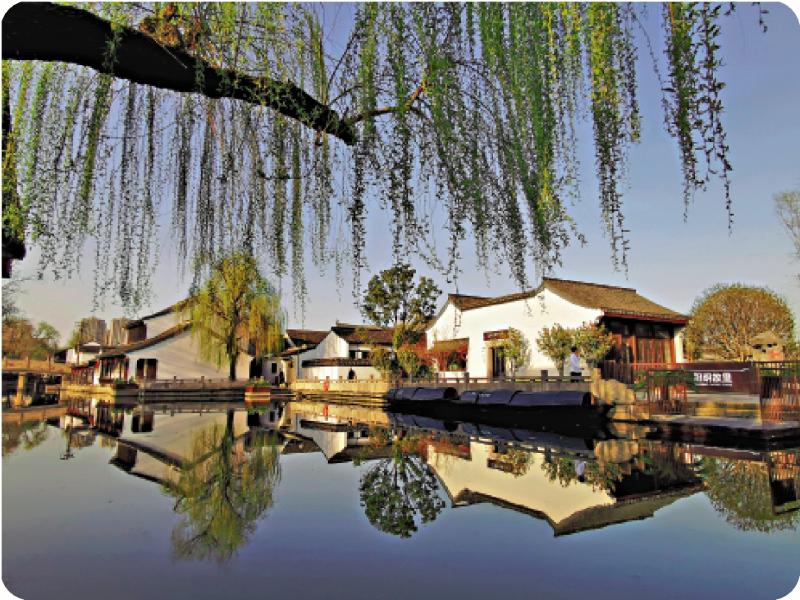 ﻿君子玉言/惆悵鄉情