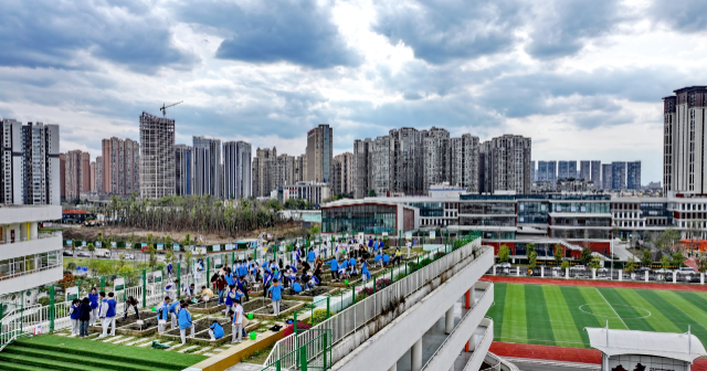 华东理工大学：课程作品扮靓美丽乡村