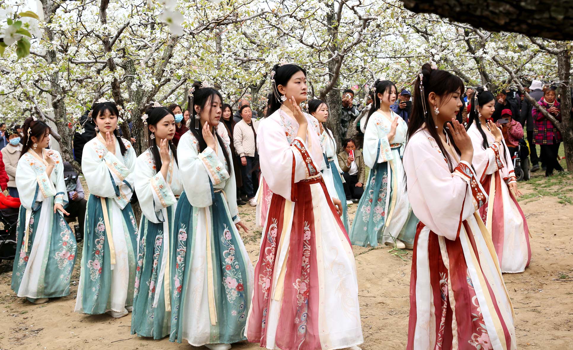 寧陵第二十一屆梨花周開幕 22萬畝梨園迎客享春光