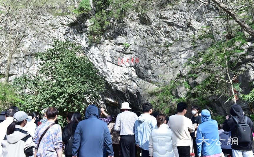 第27屆巢湖銀屏牡丹觀賞節開幕 「千年牡丹」漸入最佳觀賞期