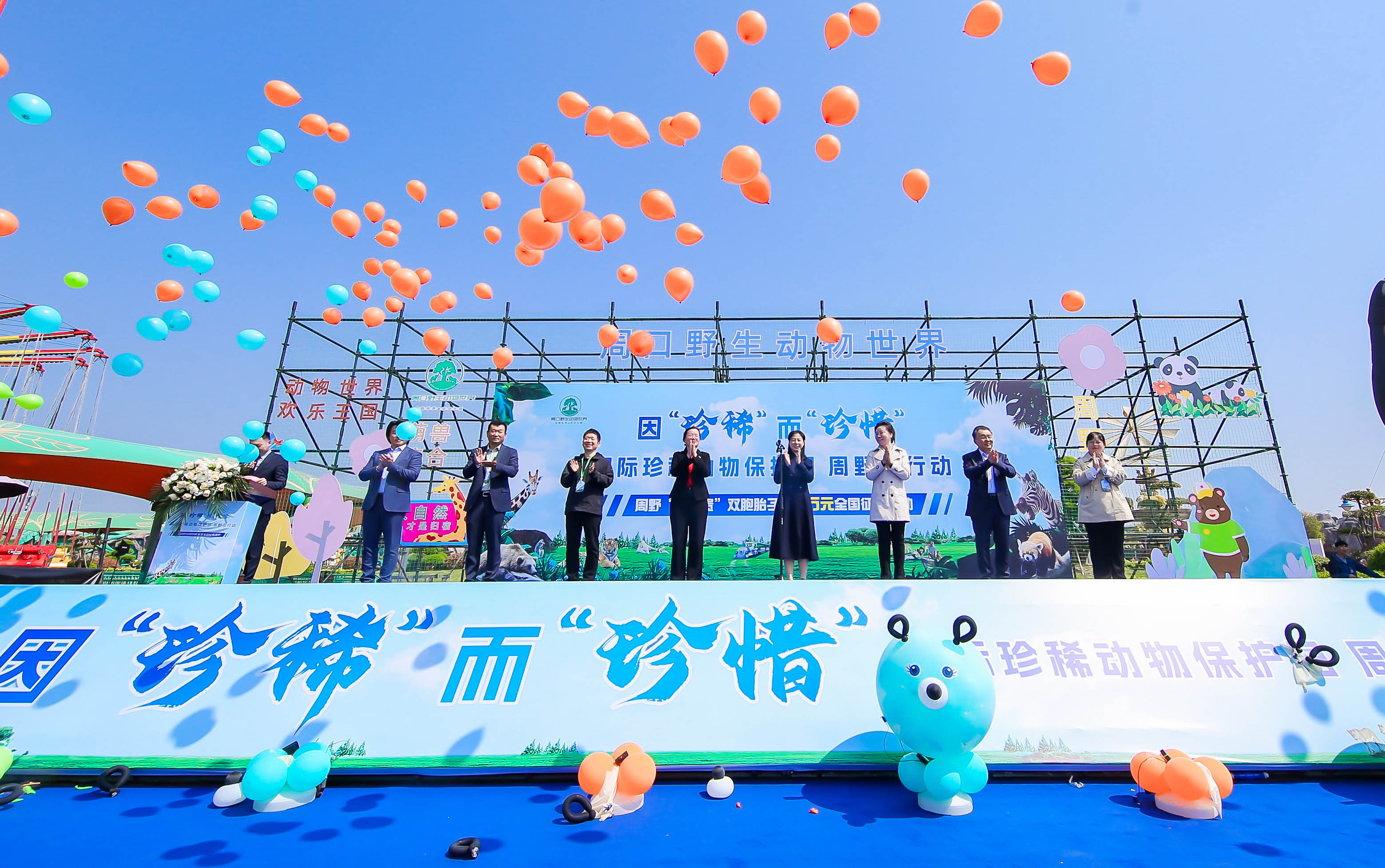 河南周口雙胞胎幼熊面向全國徵名 籲關註珍稀動物保護