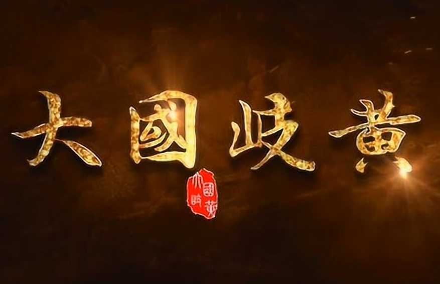 郑州市委书记安伟会见出席岐黄·中医药发展大会嘉宾