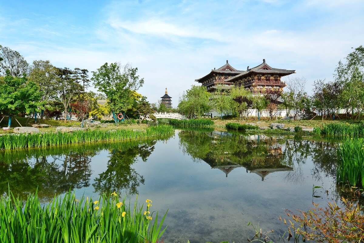 “抖音10大热门赏花城市”榜单出炉 洛阳位列榜首