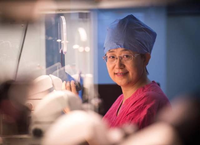 北京大学常务副校长乔杰获联合国生命科学研究重要奖项