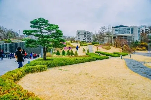 首尔高校周边“无人商店”越来越多　小商铺和餐馆面临生存危机