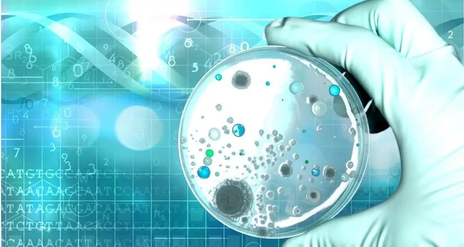 两位院士邀请沈抚育才实验学校学生：一起踏上科学探索的征程