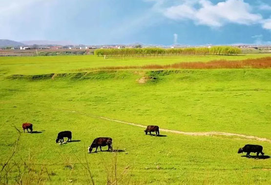 【五一不忙 去趟衡陽】六大打卡旅遊線路！「五一」在衡陽就照這個玩！