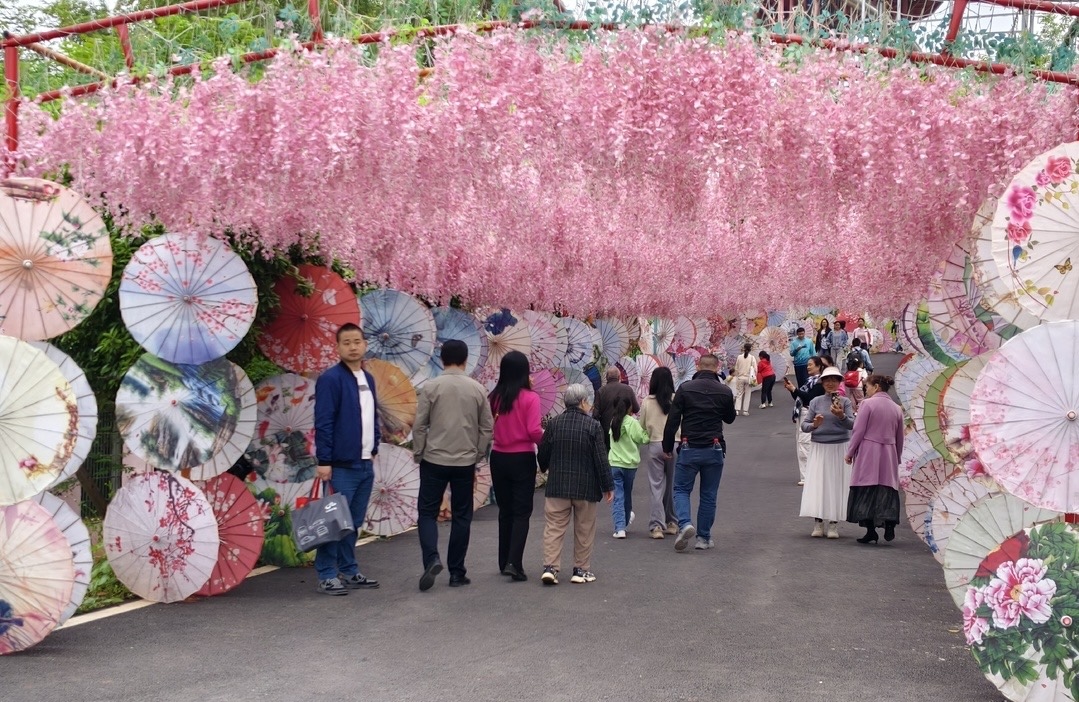 五一不忙，去趟衡陽丨衡陽縣：農旅融合扮靚鄉村風光 
