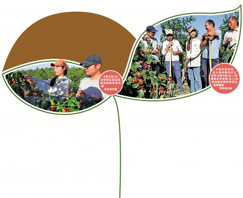 西北农林科技大学青年“自讨苦吃” 田间地头读研