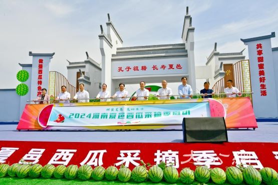 夏邑20万亩西瓜“甜萌”上市