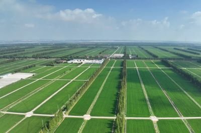 棕榈股份：全资子公司组成的联合体中标河南1.81亿元项目