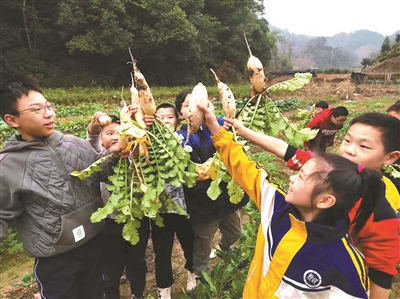 小学校如何办出“大”教育