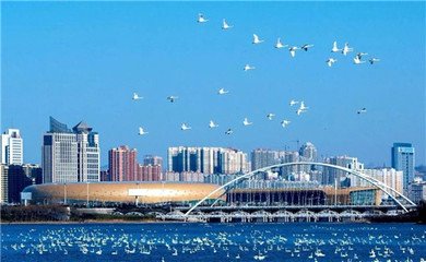 市长推荐：美丽三门峡等你来