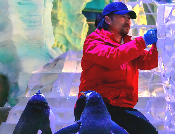 非遗冰雕亮相郑州海昌  极地纳凉节开启