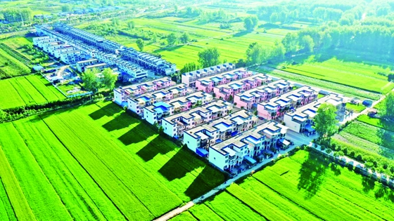 河南淮滨：产强民富 绘就美丽乡村新画面