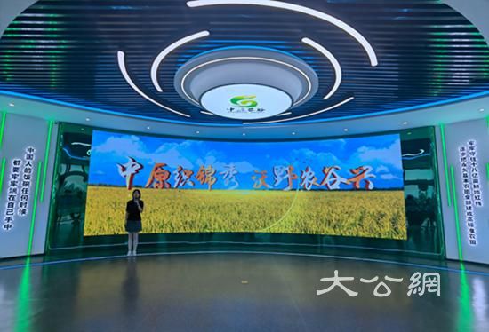 新时代中部崛起看河南 | 万亩良田织锦绣 中原农谷筑粮仓