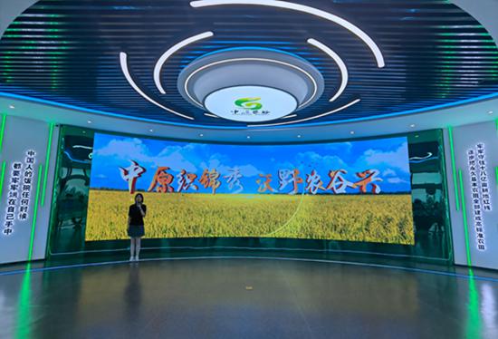 新时代中部崛起看河南 | 万亩良田织锦绣 中原农谷筑粮仓