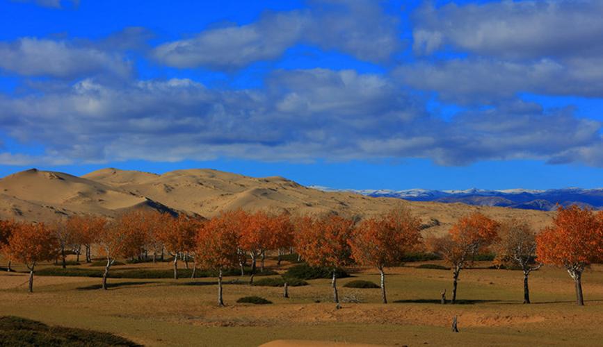 京津冀携手援教 情满新疆巴州