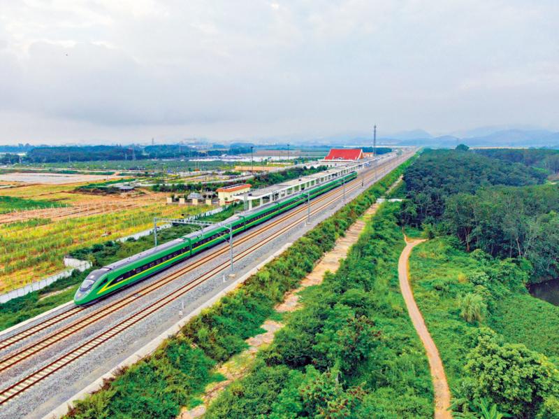 经济动脉/中老铁路助力跨境贸易 经济效益大