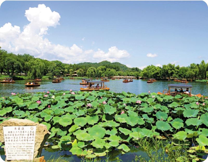 ﻿復興小札/風涼何處