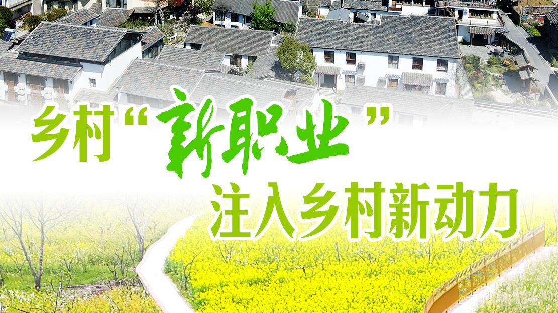 让乡村新职业蓬勃生长（金台随笔）