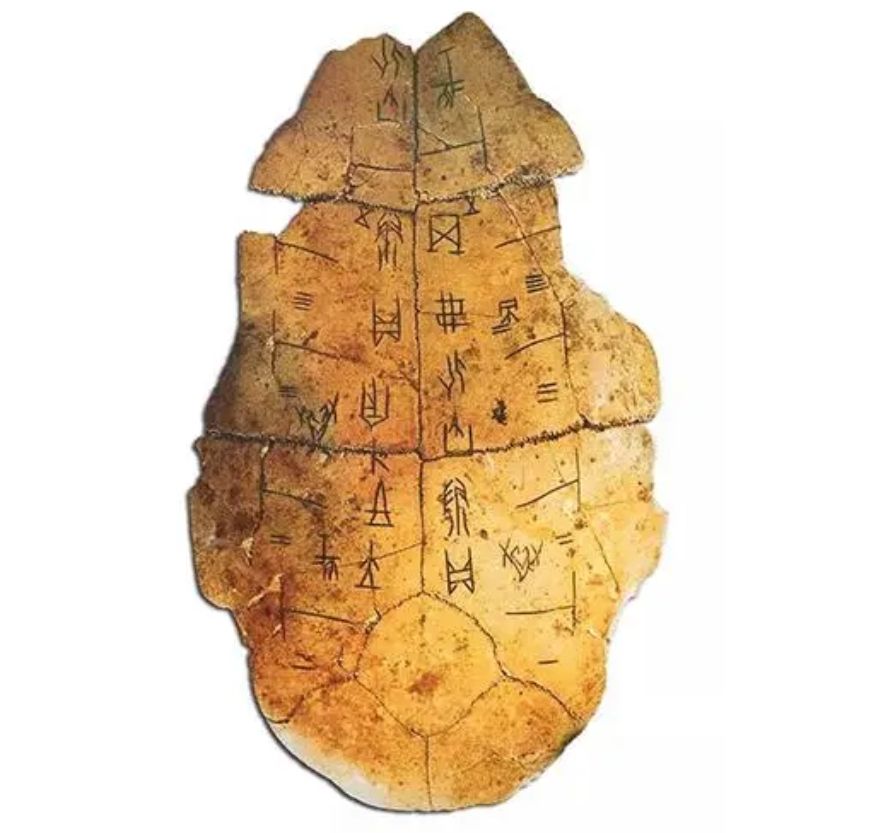 专家会聚安阳 助力甲骨文活化