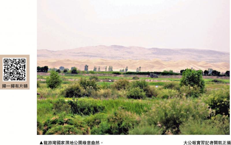 龍遊灣國家濕地公園 港生探索沙漠綠地