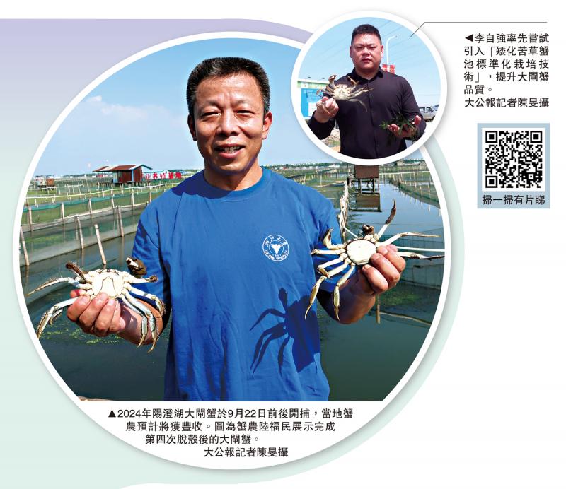 陽澄湖大閘蟹迎豐產 九月下旬開捕