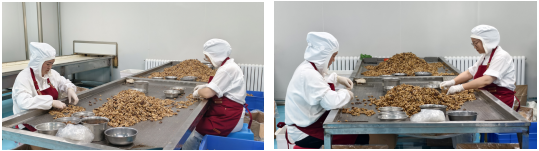 兵团第师五家渠市这家“专精特新”中小企业产销两旺