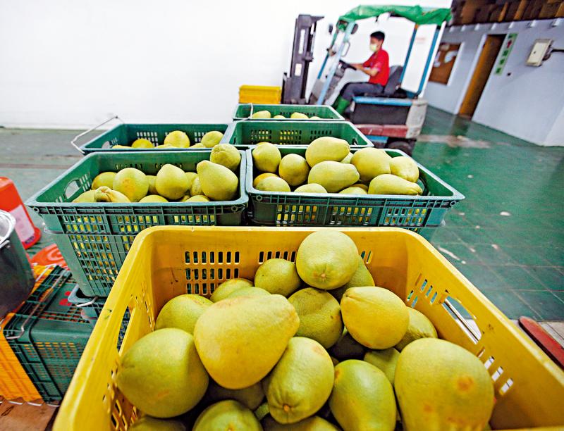 ﻿大陆恢复输入台柚 国台办：一家人好商量